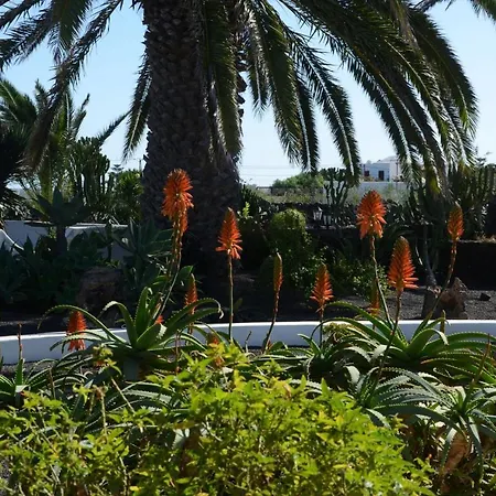 Casa Sueno In The Village Of Mala