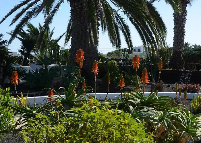 Casa Sueno In The Village Of Mala